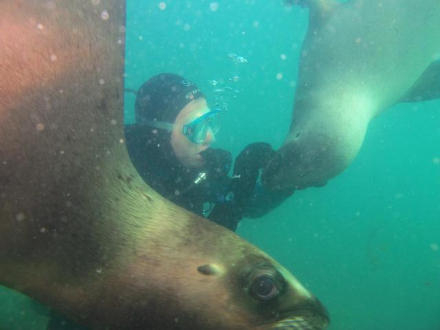 Scuba Duba - Dive Center