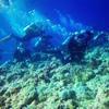 Picture taken during the dive