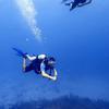 Picture taken during the dive