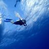 Picture taken during the dive