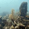 Picture taken during the dive
