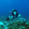 Picture taken during the dive