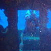 Picture taken during the dive