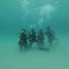 Picture taken during the dive