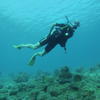 Picture taken during the dive
