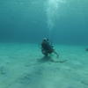 Picture taken during the dive