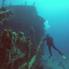 Picture taken during the dive