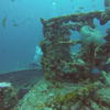 Picture taken during the dive