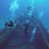 Picture taken during the dive
