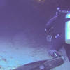 Picture taken during the dive
