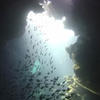 Picture taken during the dive