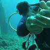 Picture taken during the dive