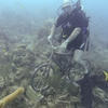Picture taken during the dive