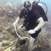 Picture taken during the dive