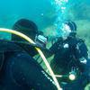 Picture taken during the dive