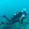 Picture taken during the dive