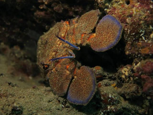 Aquasportdiving - Dive Center in Spain