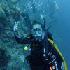 Picture taken during the dive