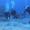 Picture taken during the dive