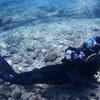 Picture taken during the dive