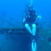 Picture taken during the dive