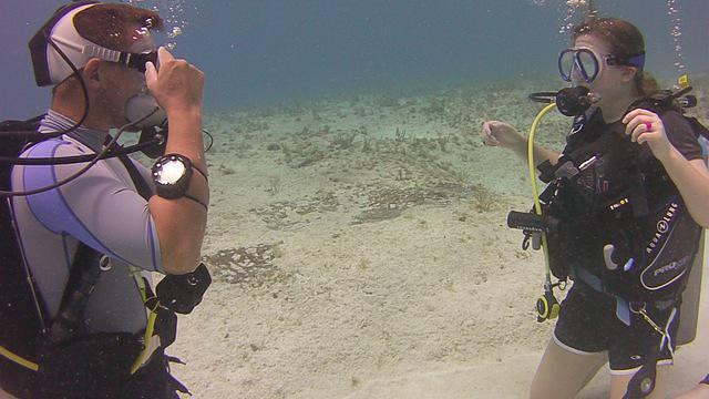 Diving in Îles Caïmans, Grand Cayman - By Tim Tyler