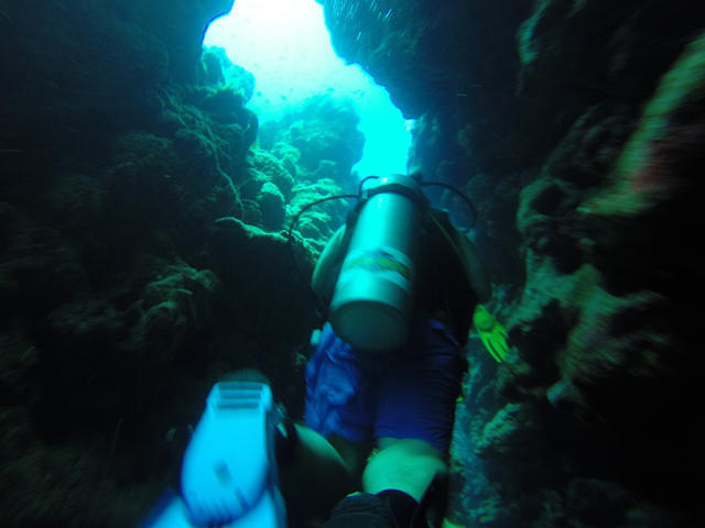 Dahab Divers Lodge - Dive Center in Egypt