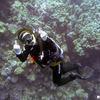 Picture taken during the dive