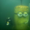 Picture taken during the dive
