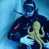 Picture taken during the dive