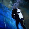 Picture taken during the dive