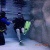 Picture taken during the dive