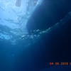 Picture taken during the dive