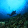 Picture taken during the dive