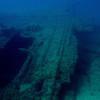 Picture taken during the dive
