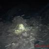 Picture taken during the dive