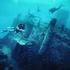 Picture taken during the dive
