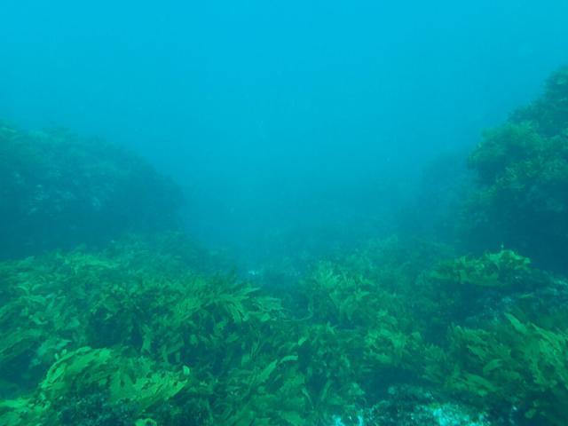 Perth Scuba - Dive Center in Australia