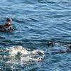 Picture taken during the dive