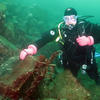Picture taken during the dive