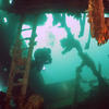 Picture taken during the dive