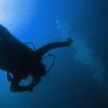 Picture taken during the dive