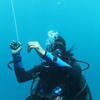 Picture taken during the dive