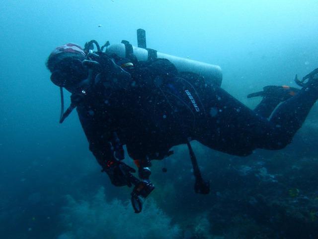 Sogod Bay Scuba Resort Inc - Dive Center in 菲律宾