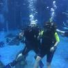 Picture taken during the dive