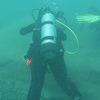 Picture taken during the dive