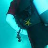 Picture taken during the dive