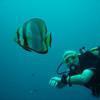 Picture taken during the dive