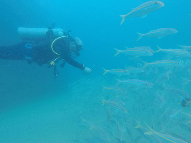 Dive Cabo - Dive Center in Mexico