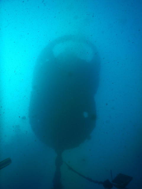 Diving in Brisbane, Australie - By Lee Vella